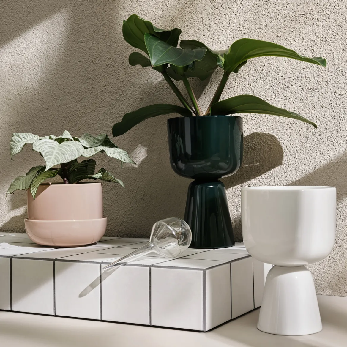 Bevattningsbehållare set 2-pack<IITTALA Online