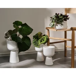 Bevattningsbehållare set 2-pack<IITTALA Online