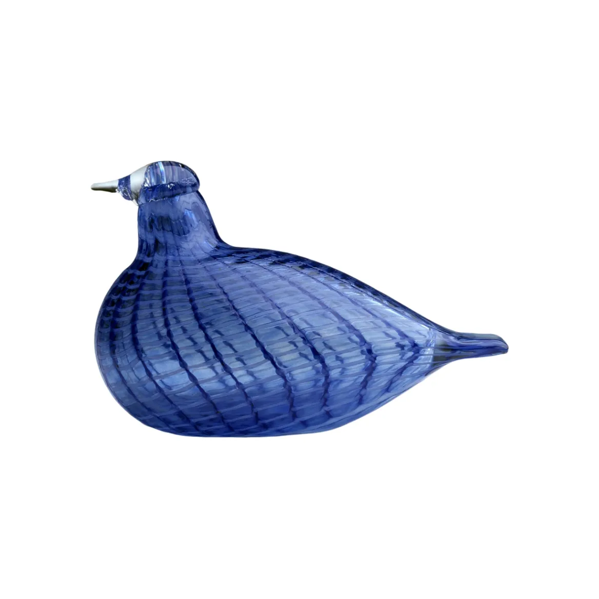 Blåfjäder 120x85mm<IITTALA Sale