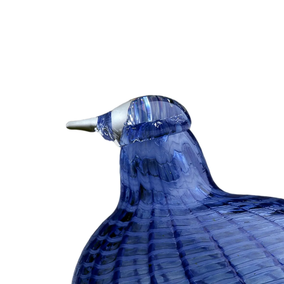 Blåfjäder 120x85mm<IITTALA Sale