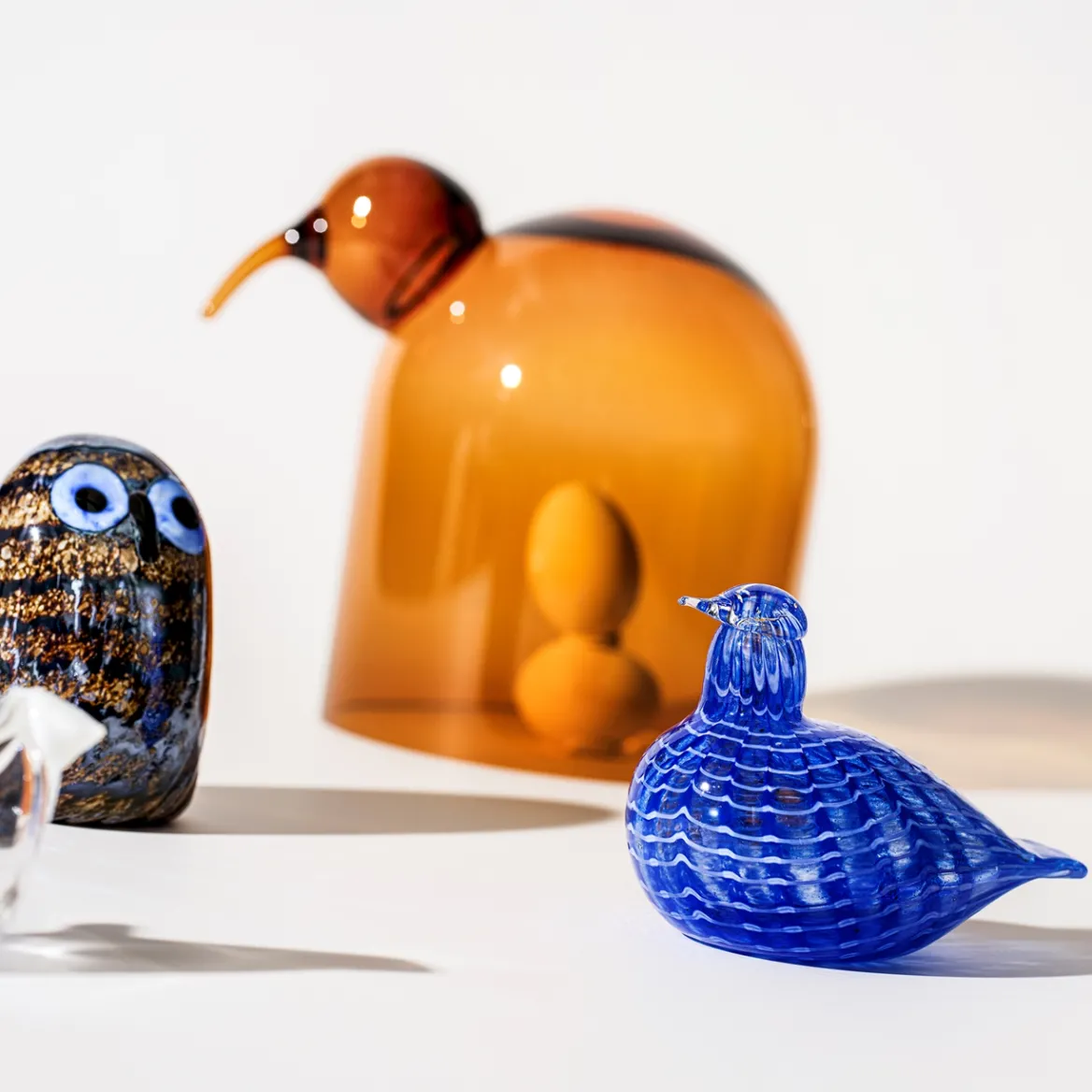 Blåfjäder 120x85mm<IITTALA Sale