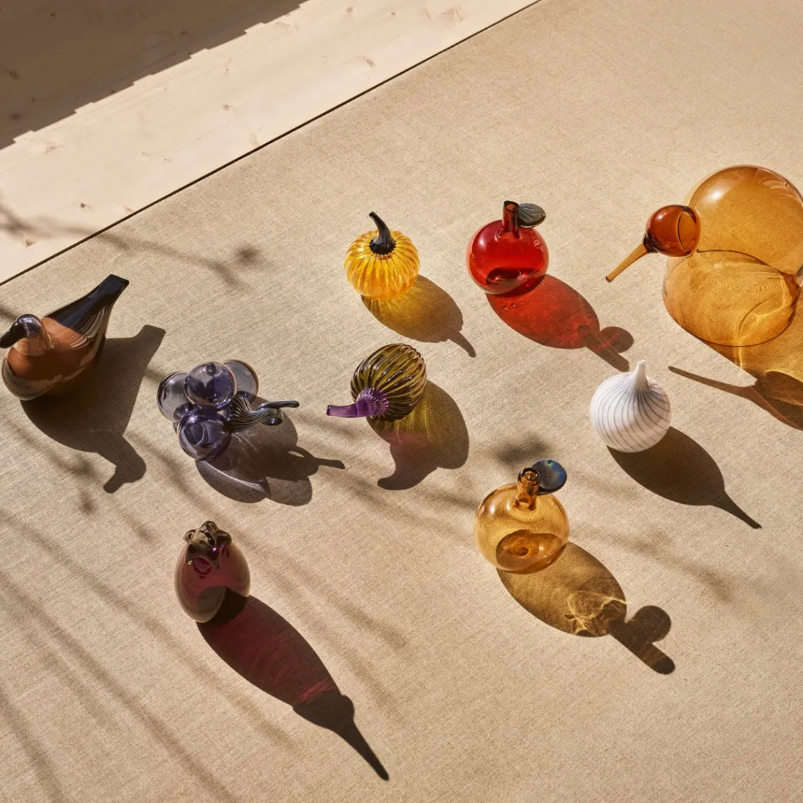 Druva regn<IITTALA Discount