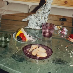 Glas 29cl ljung 2st<IITTALA Clearance