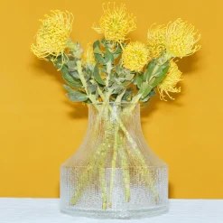 Glas vas 180x192mm<IITTALA Sale