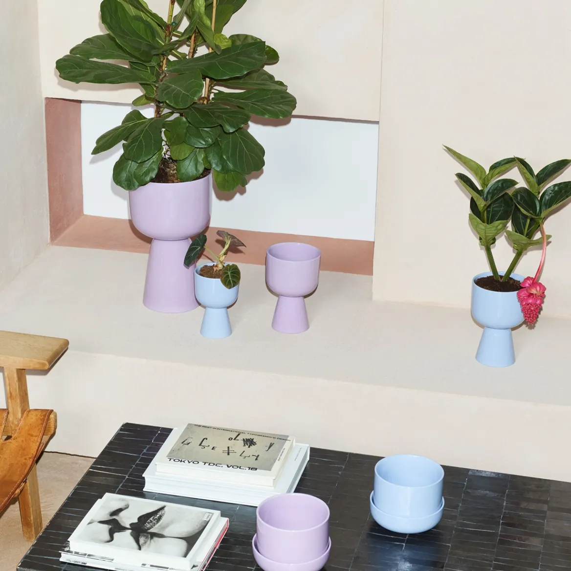 Kruka med fat S<IITTALA