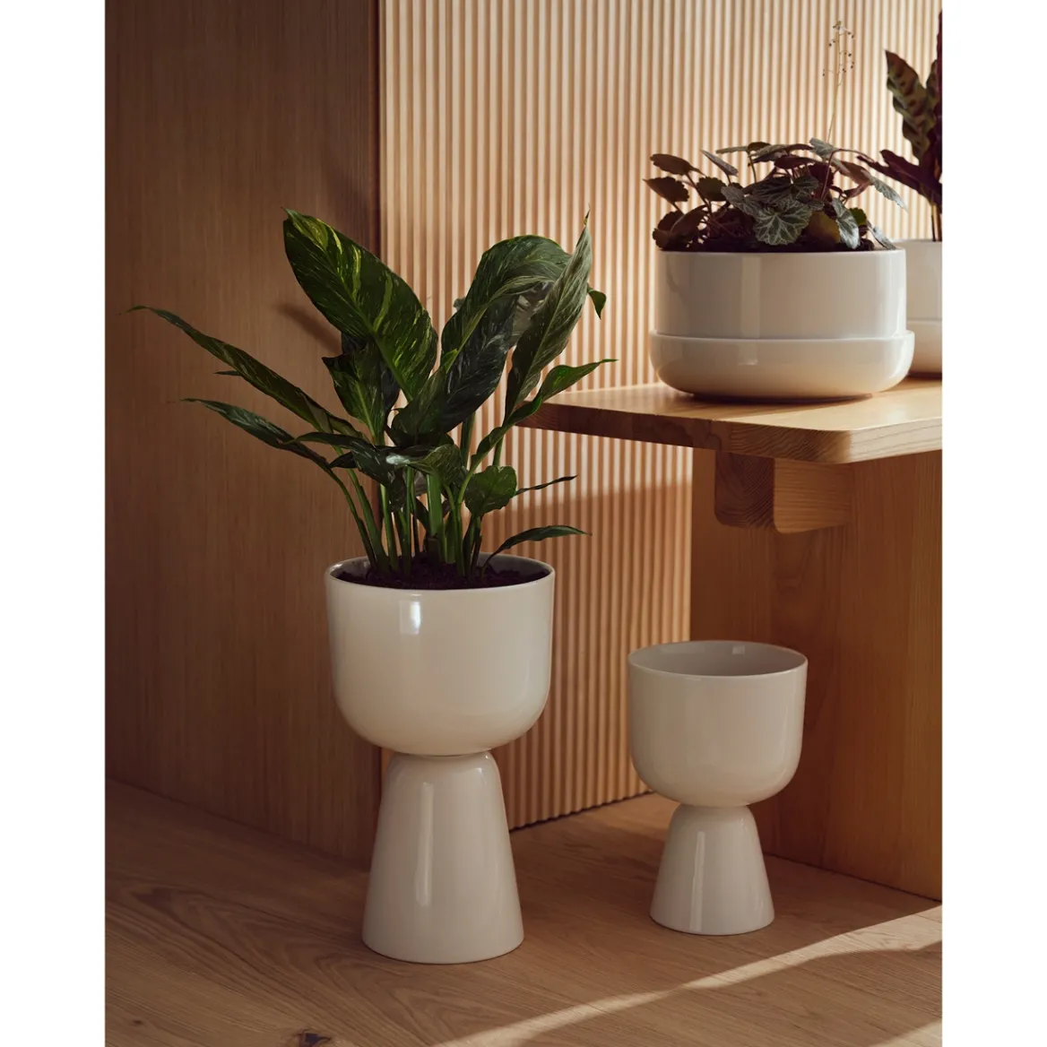 Kruka med fat M<IITTALA