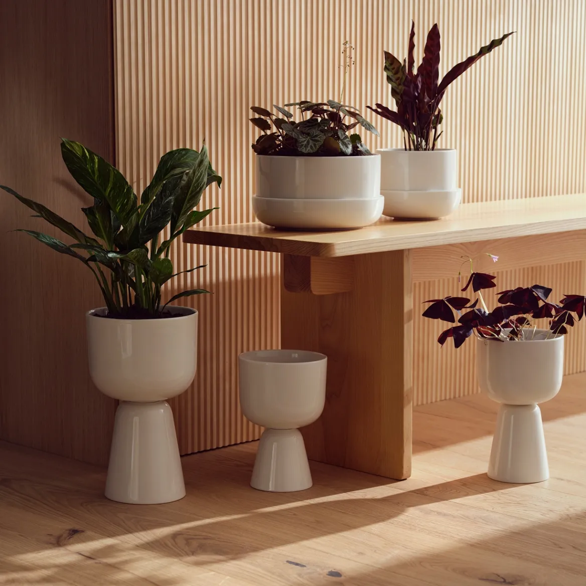 Kruka med fat M<IITTALA