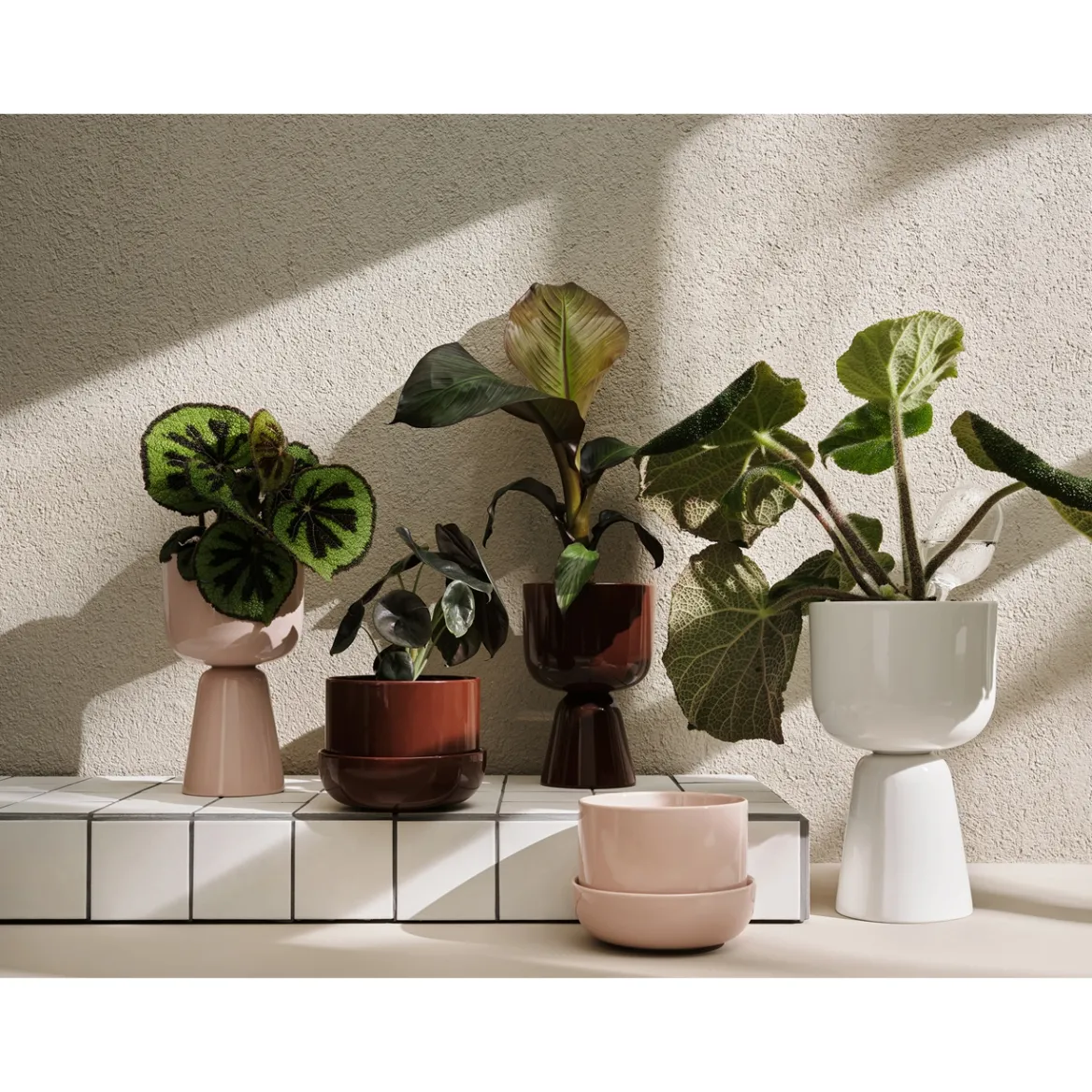 Kruka 260x155mm<IITTALA Outlet