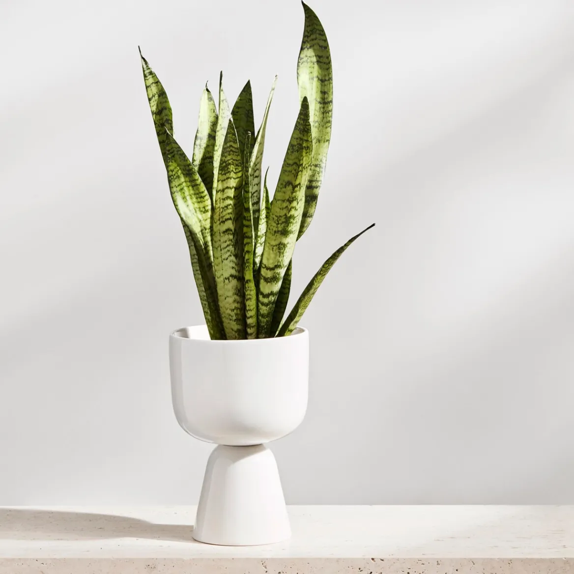 Kruka 230x155mm<IITTALA Outlet