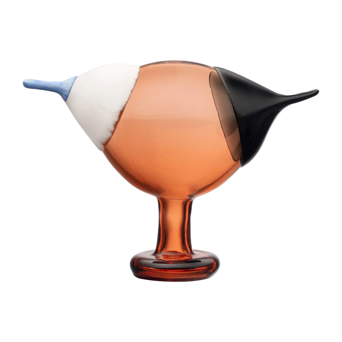 Kustskata 250x175mm pomerans<IITTALA Hot