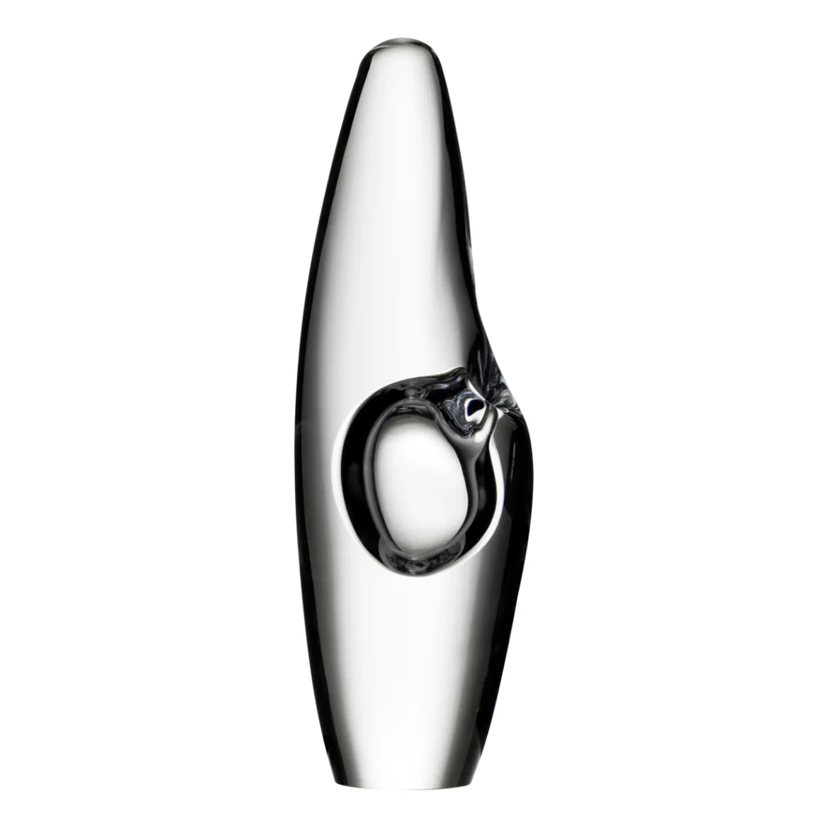 Orkidea konstverk<IITTALA Outlet