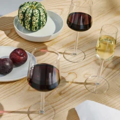Rödvinsglas 45cl 2-pack<IITTALA Clearance