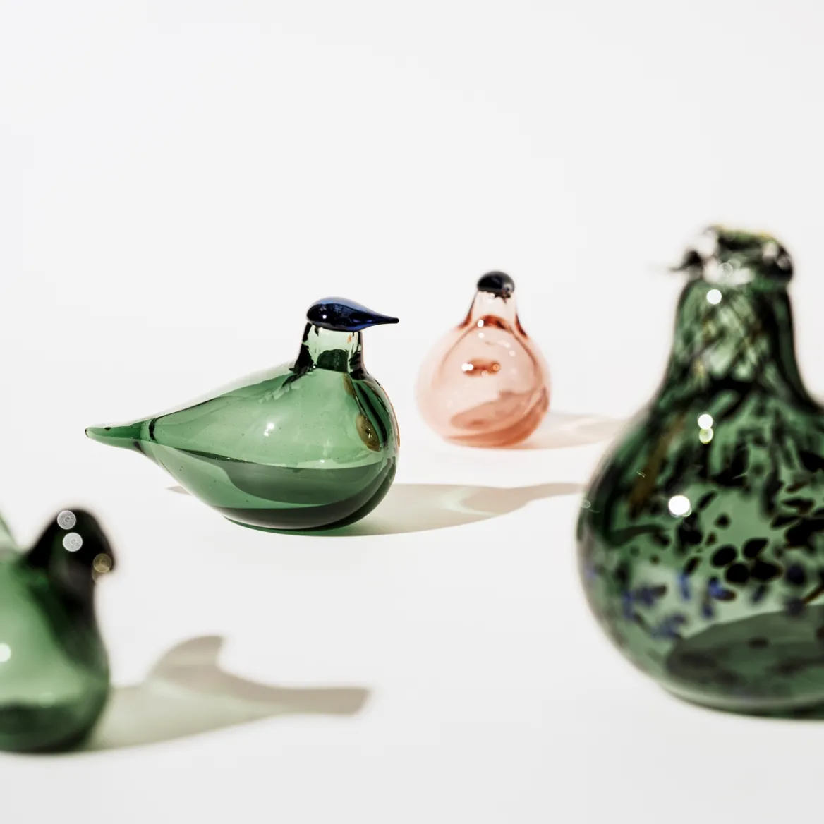 Rörsångare 210x130mm tallgrön<IITTALA Clearance