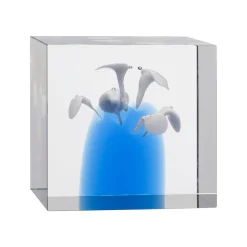 Årskub 85x80mm 2024<IITTALA Outlet