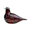 Ruby bird tranbär<IITTALA Online