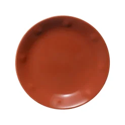 Tallrik 18cm terracotta<IITTALA Clearance