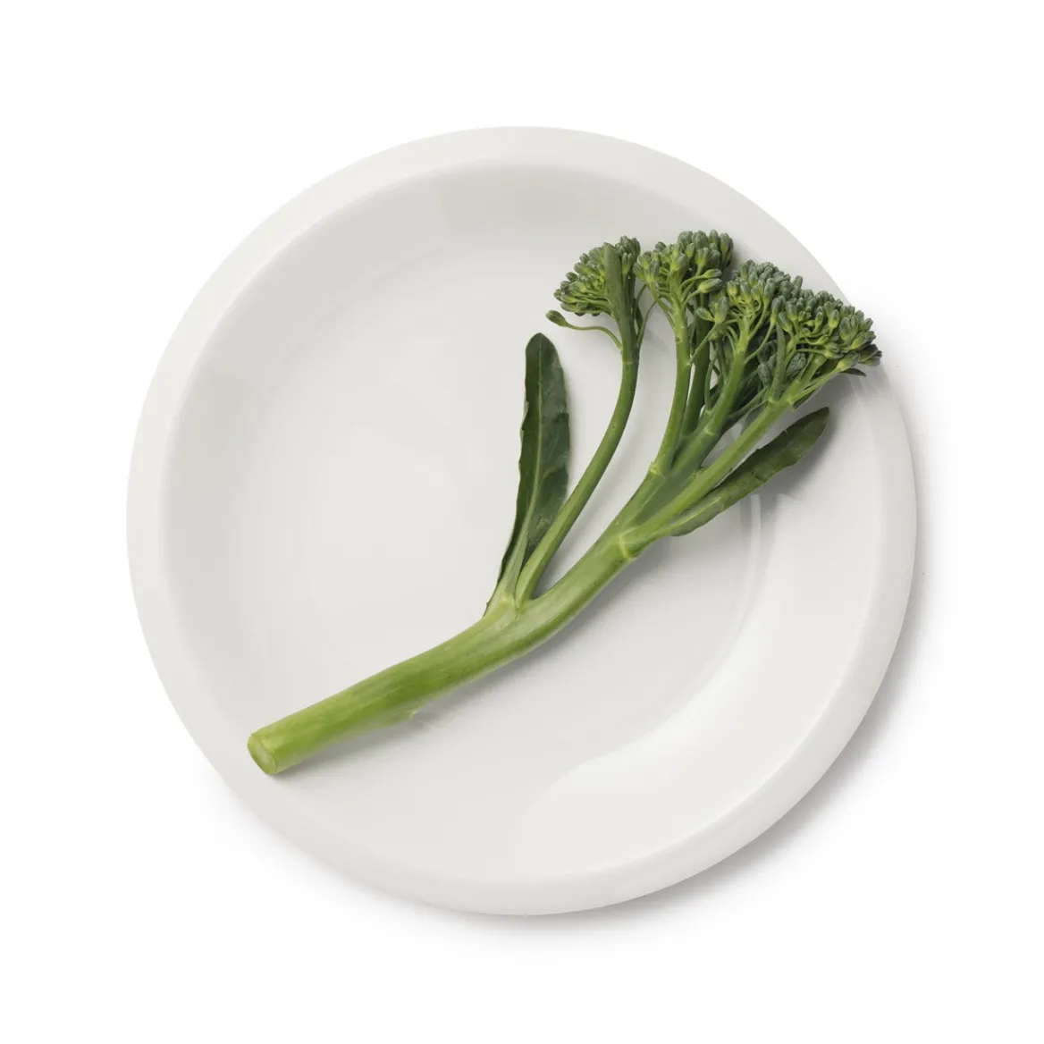 Tallrik 17cm vit<IITTALA Discount