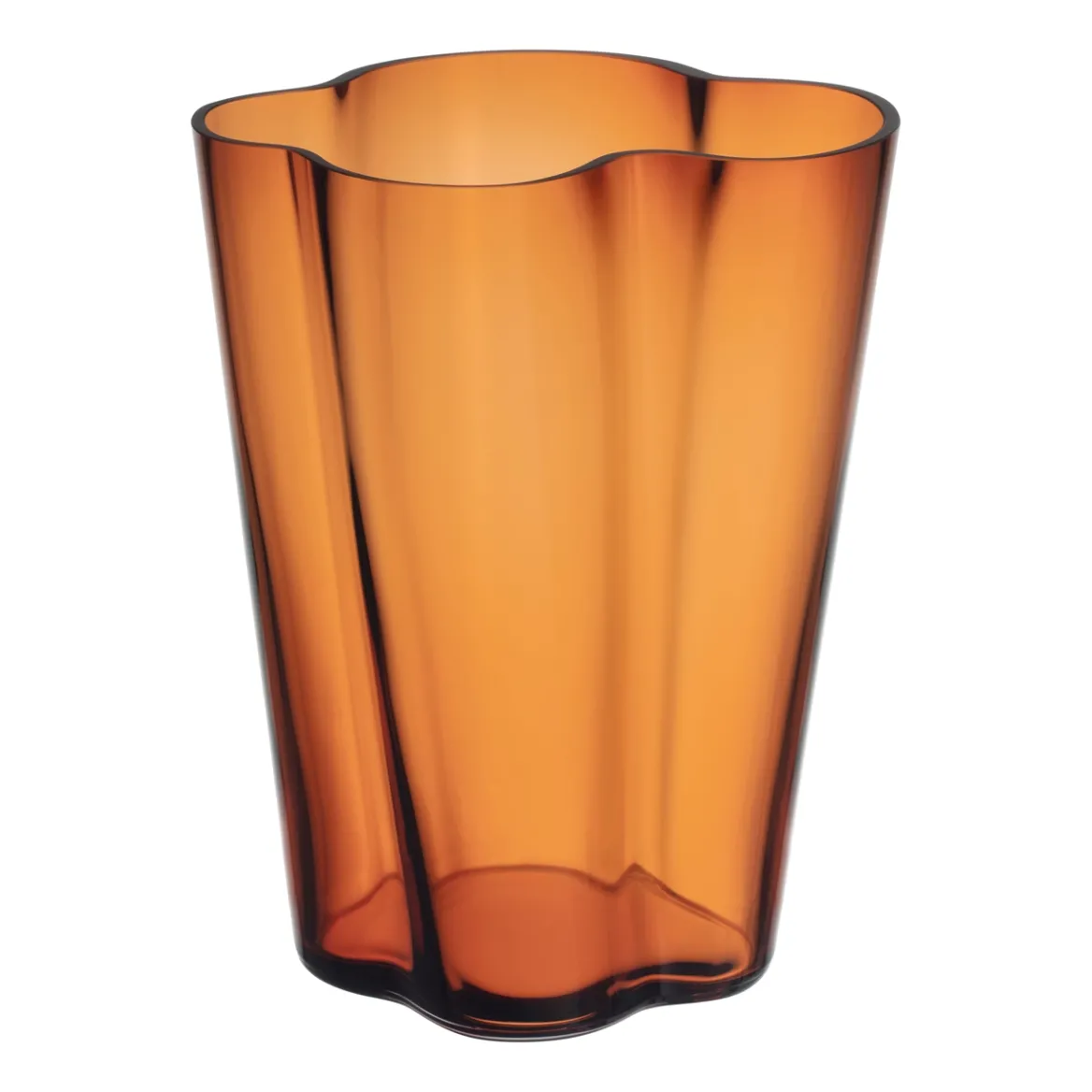 Vas 270mm<IITTALA Outlet