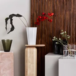 Vas 220mm<IITTALA Outlet